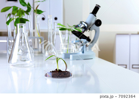 Green plants in biology laborotary 7092364