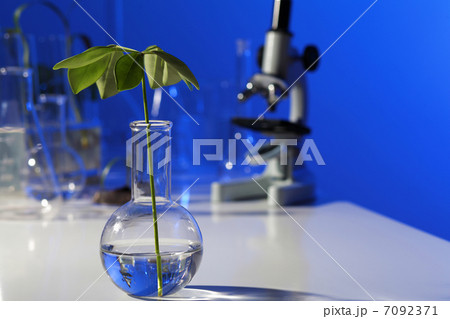 Green plants in biology laborotary 7092371