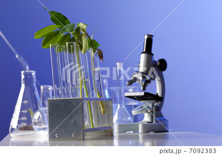 Green plants in biology laborotary Green plants in biology laborotary 7092383
