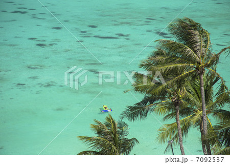 グアム島の海とヤシの木 7092537