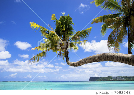 グアム島の海 7092548