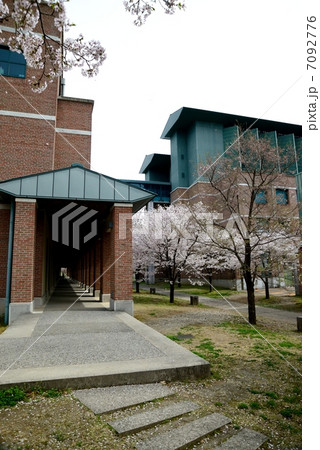 新入生を待つ春爛漫の高知県立 高知工科大学 新入生を待つ春爛漫の高知県立 高知工科大学 7092776