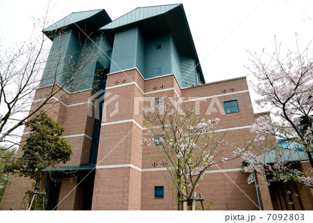 新入生を待つ春爛漫の高知県立 高知工科大学 C棟西側 新入生を待つ春爛漫の高知県立 高知工科大学 C棟西側 7092803
