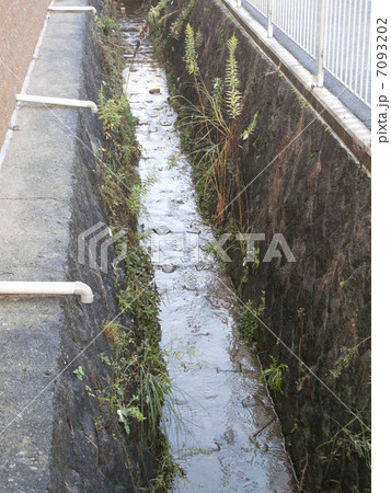 住宅街の生活用排水路 7093202