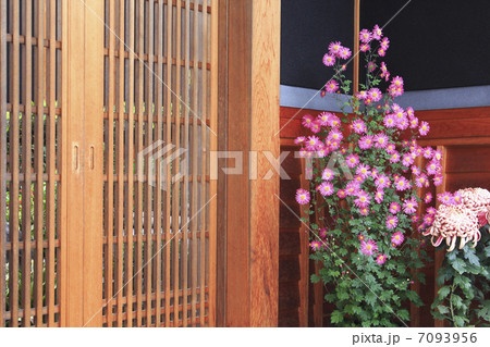 日本家屋の玄関先 7093956