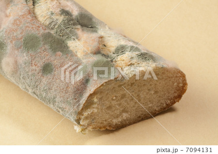 パンに発生したカビ パンに発生したカビ 7094131