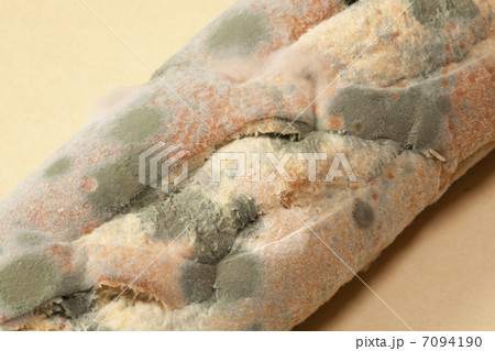 パンに発生したカビ 7094190