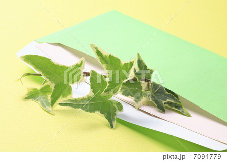 緑の封筒に入れた観葉植物 7094779