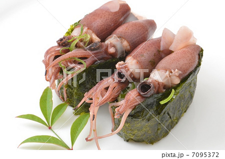 ホタルイカの寿司 ホタルイカの寿司 7095372