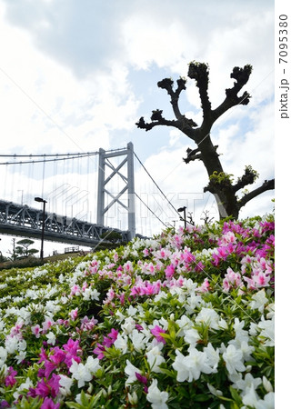 「初夏の風」 新緑の瀬戸大橋 与島 ツツジと主塔 4月21日撮影 「初夏の風」 新緑の瀬戸大橋 与島 ツツジと主塔 4月21日撮影 7095380
