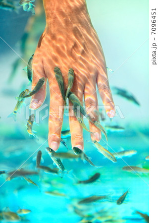 Manicure fish spa 7096451