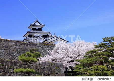 史跡・白河小峰城と桜 7096967