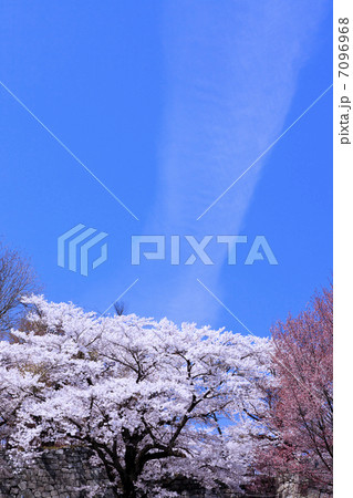 史跡・白河小峰城の桜と雲 史跡・白河小峰城の桜と雲 7096968