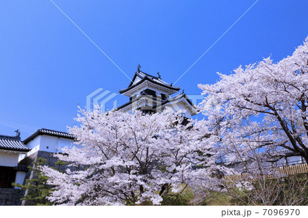 史跡・白河小峰城と桜 史跡・白河小峰城と桜 7096970