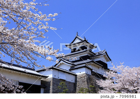 史跡・白河小峰城と桜 7096981