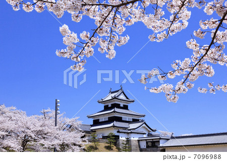 史跡・白河小峰城と桜 7096988