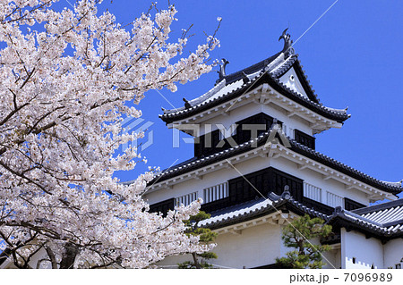 史跡・白河小峰城と桜 7096989