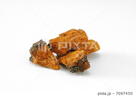 アガリクス キノコ 健康食品 薬 煎じ薬 飲み薬 東洋医学 漢方薬 アガリクス キノコ 健康食品 薬 煎じ薬 飲み薬 東洋医学 漢方薬 7097450