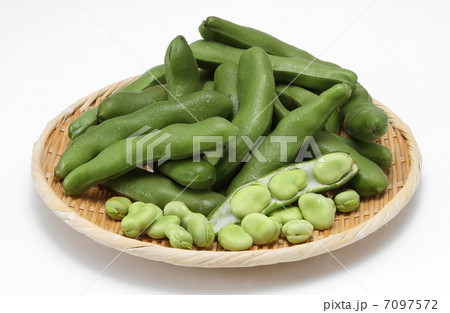 野菜 食品 新鮮食材 豆 そら豆 豆ざる盛り 緑 緑黄色野菜 の写真素材