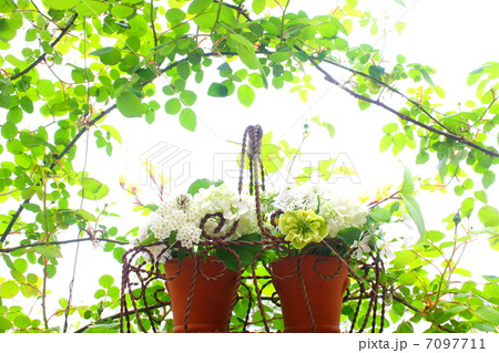 ナチュラルライフイメージのフラワーアレンジメント 7097711