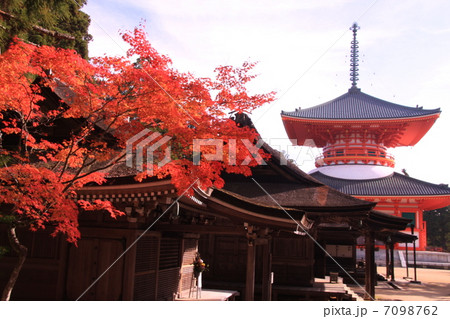 孔雀堂　（高野山）の紅葉から見る根本大塔 7098762