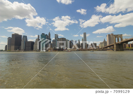 ニューヨーク南端の高層ビル群 ニューヨーク南端の高層ビル群 7099129