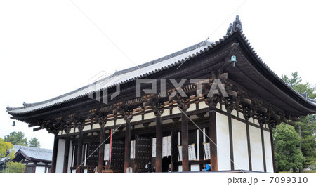 興福寺の東金堂 7099310