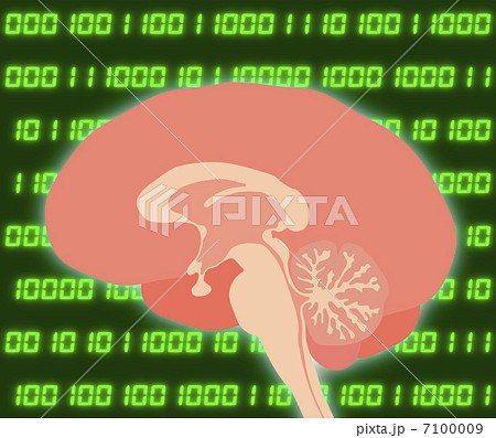 脳 7100009
