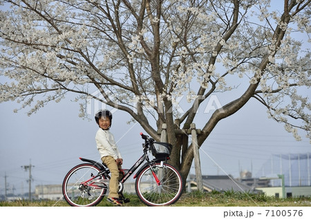 自転車 7100576