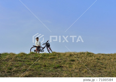 自転車 自転車 7100584