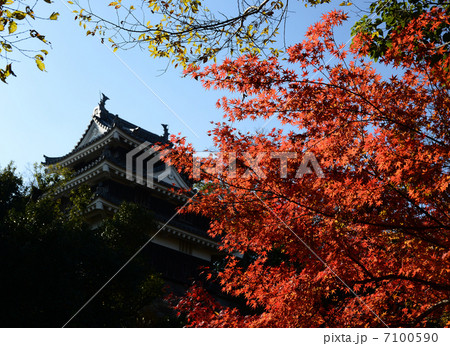 西尾城の秋 西尾城の秋 7100590