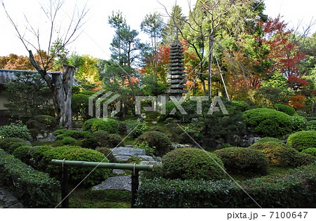 京都鹿ケ谷安楽寺 7100647