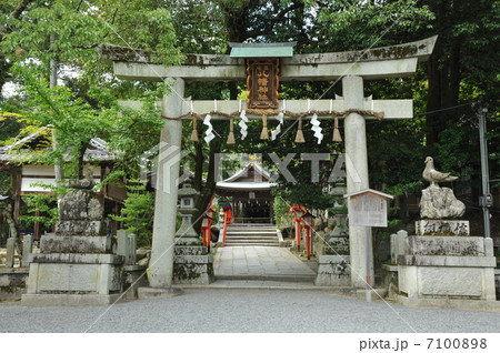 京都　三宅八幡宮 7100898