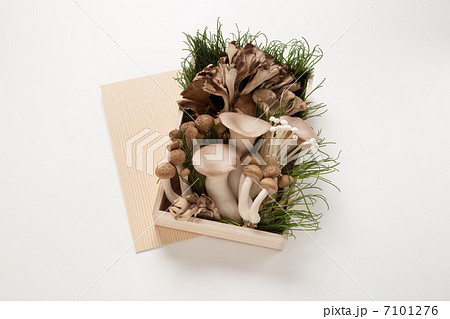 きのこ鍋 7101276