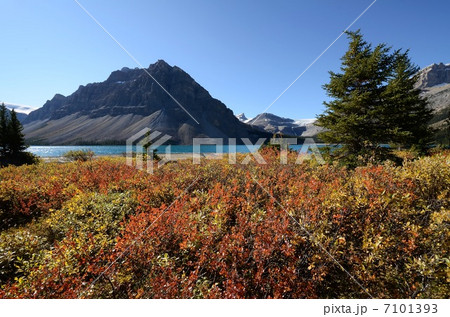 秋のボウ湖 秋のボウ湖 7101393