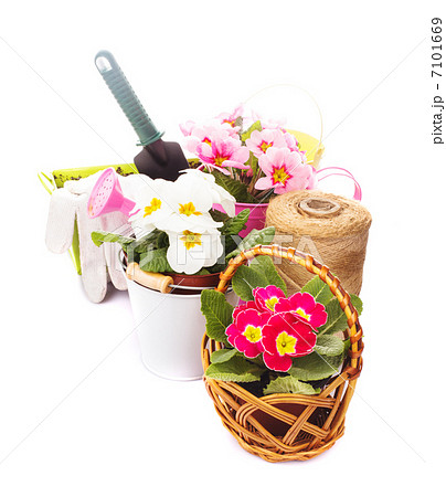 Gardening isolated 7101669