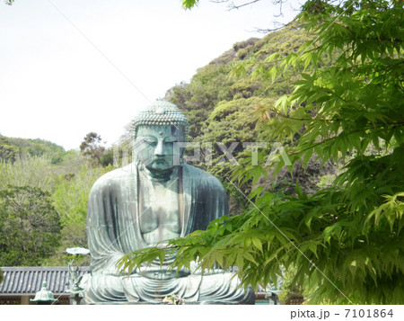 鎌倉 大仏 鎌倉 大仏 7101864