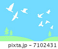 飛び立つ鳥 7102431