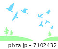 飛び立つ鳥 7102432