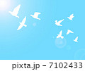 飛び立つ鳥 7102433