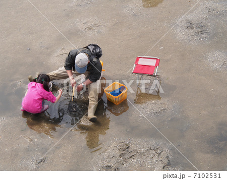 潮干狩り 7102531