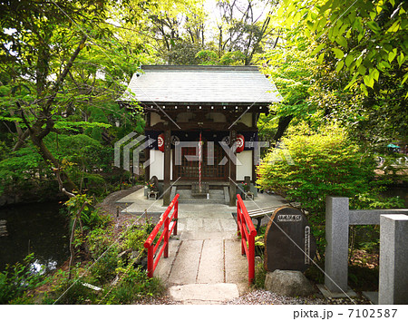 井の頭弁財天 7102587