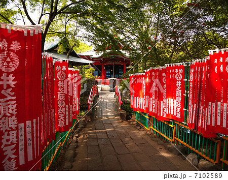 井の頭弁財天 井の頭弁財天 7102589