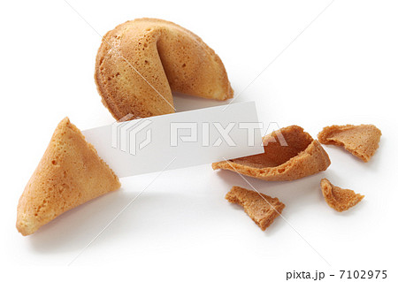 フォーチュンクッキー 7102975