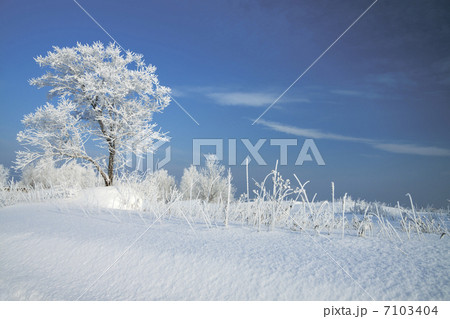 winter landscape 7103404