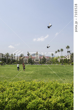 関西学院大学 7103528