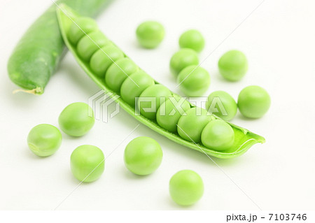 グリーンピース 野菜 豆 グリーンピース 野菜 豆 7103746