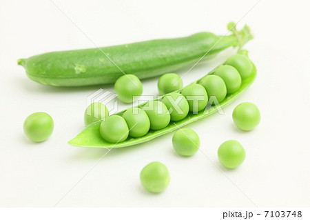 グリーンピース　野菜　豆 7103748