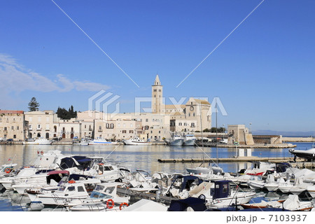トラー二　大聖堂　Cattedrale　港　Porto 7103937
