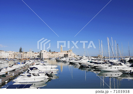 トラー二　大聖堂　Cattedrale　港　Porto 7103938